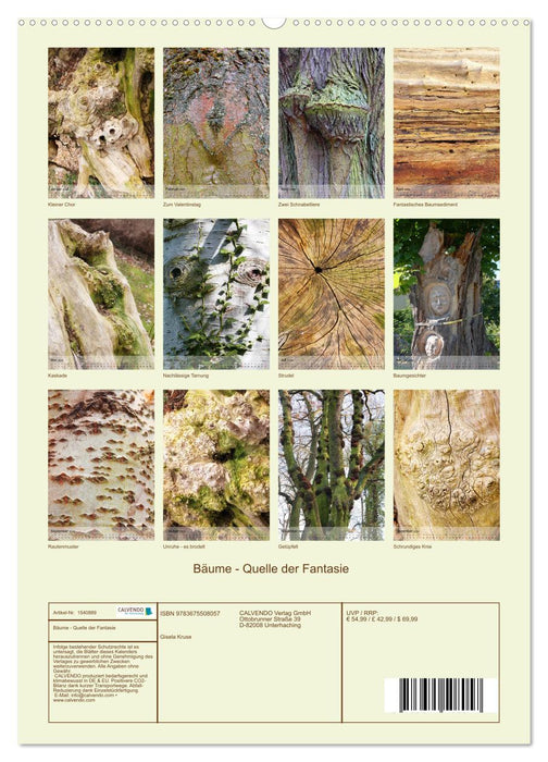 Bäume Quelle der Fantasie (CALVENDO Wandkalender 2024)