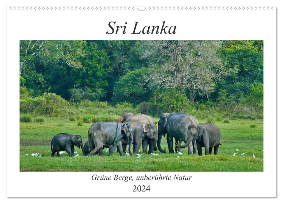 Sri Lanka, Grüne Berge - unberührte Natur (CALVENDO Wandkalender 2024)