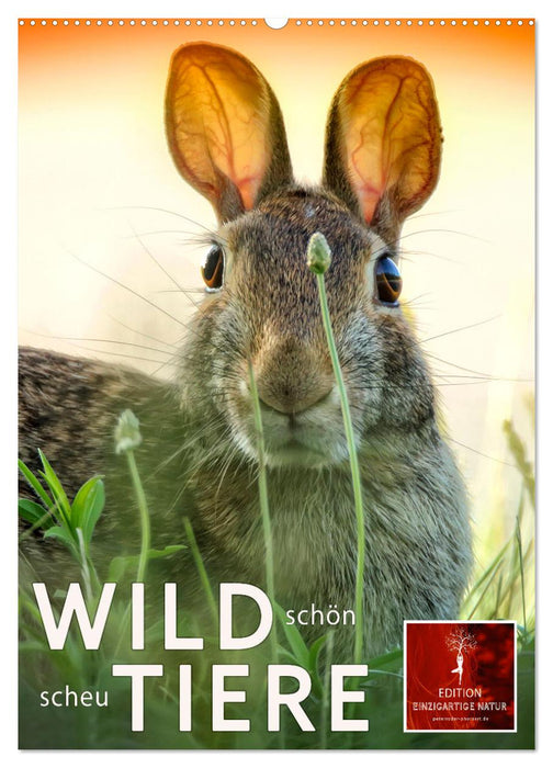 Wildtiere - schön und scheu (CALVENDO Wandkalender 2024)