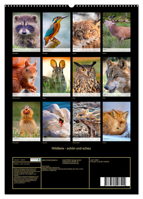 Wildtiere - schön und scheu (CALVENDO Wandkalender 2024)