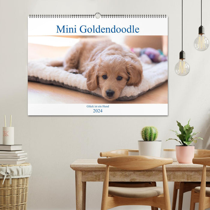 Mini Goldendoodle - Glück ist ein Hund (CALVENDO Wandkalender 2024)