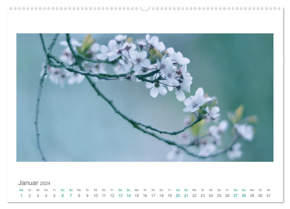 Blütenwerk (CALVENDO Wandkalender 2024)