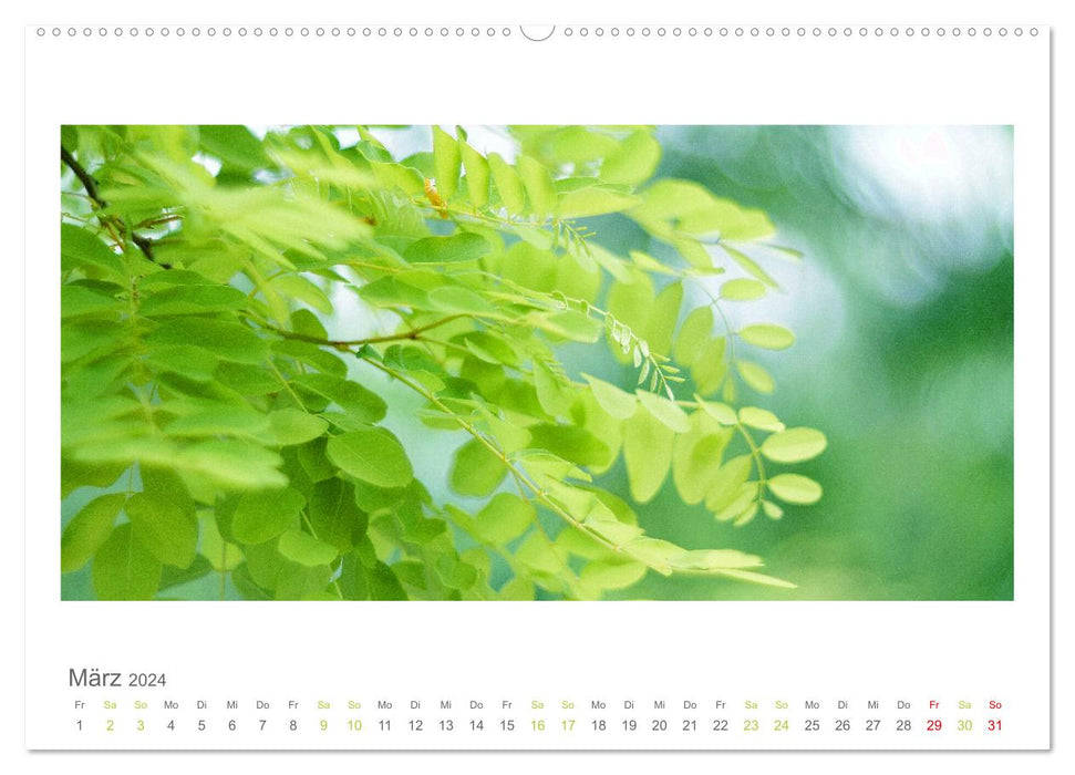 Blütenwerk (CALVENDO Wandkalender 2024)