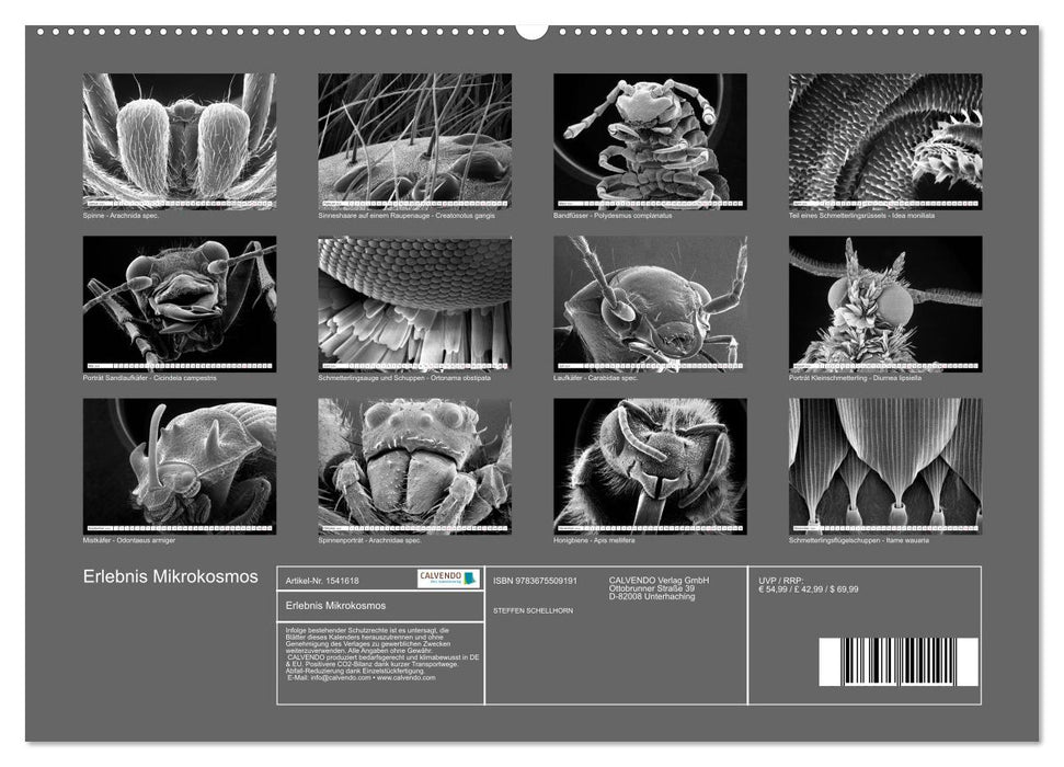 Erlebnis Mikrokosmos (CALVENDO Wandkalender 2024)