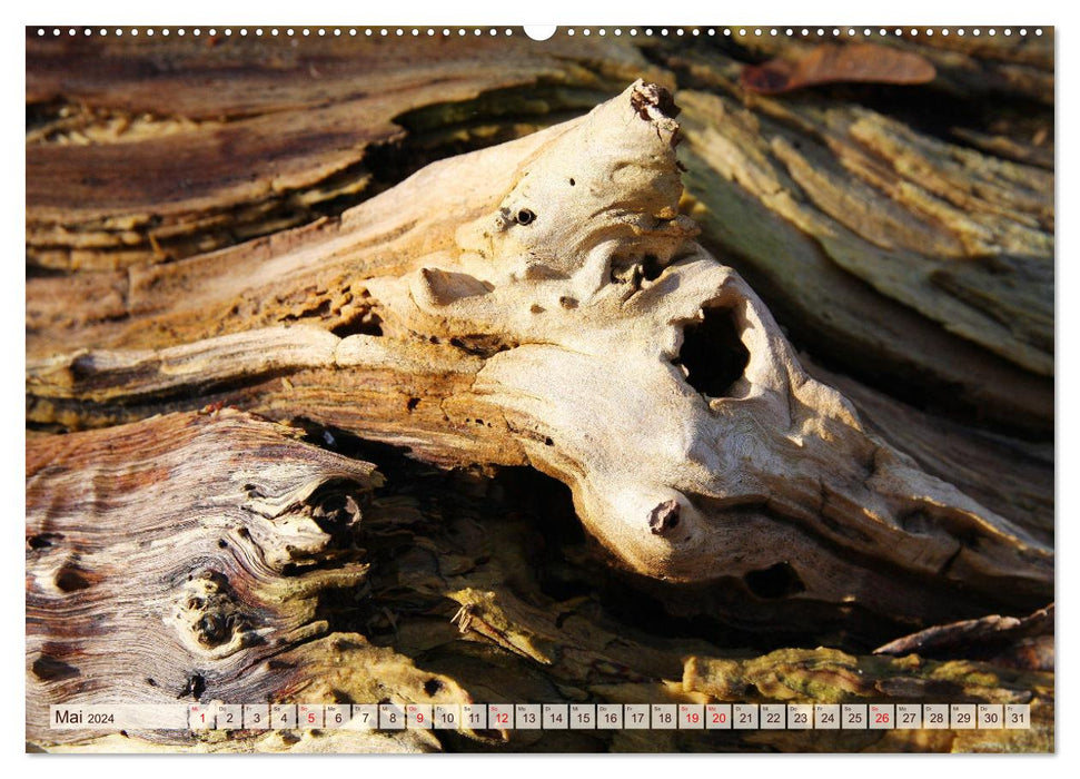 Fantastische Baumwelten (CALVENDO Wandkalender 2024)