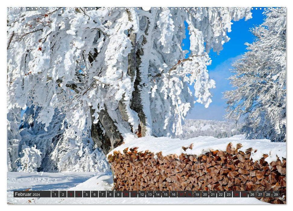 Ich liebe Winter (CALVENDO Premium Wandkalender 2024)