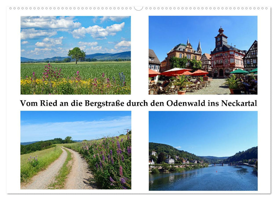 Vom Ried an die Bergstraße, durch den Odenwald ins Neckartal (CALVENDO Wandkalender 2024)