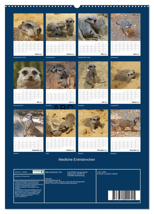 Niedliche Erdmännchen (CALVENDO Wandkalender 2024)