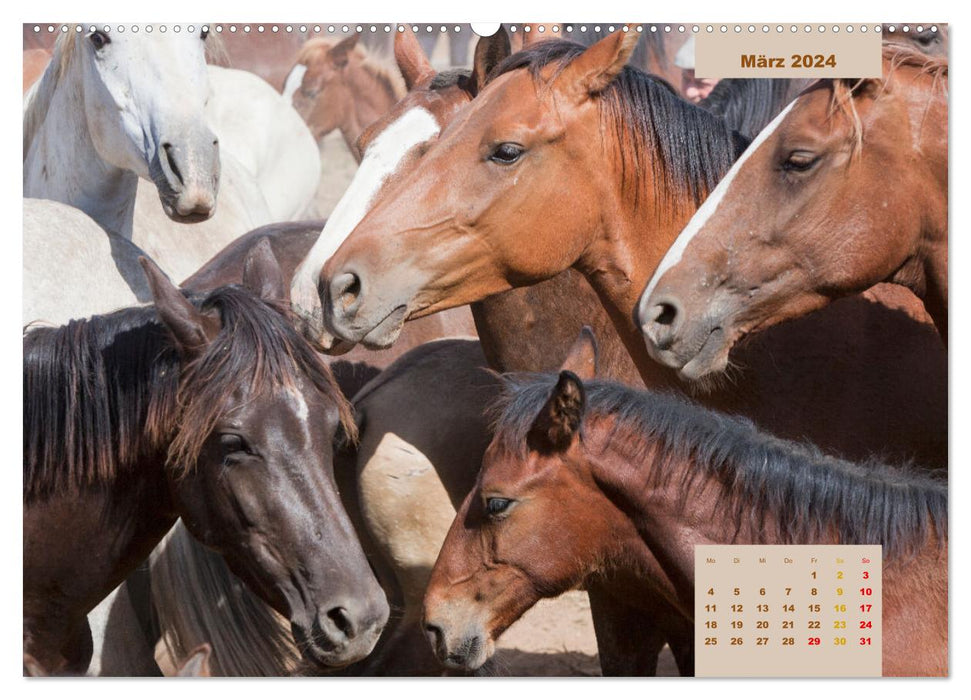 Pferde - Andalusiens wilder Westen (CALVENDO Premium Wandkalender 2024)