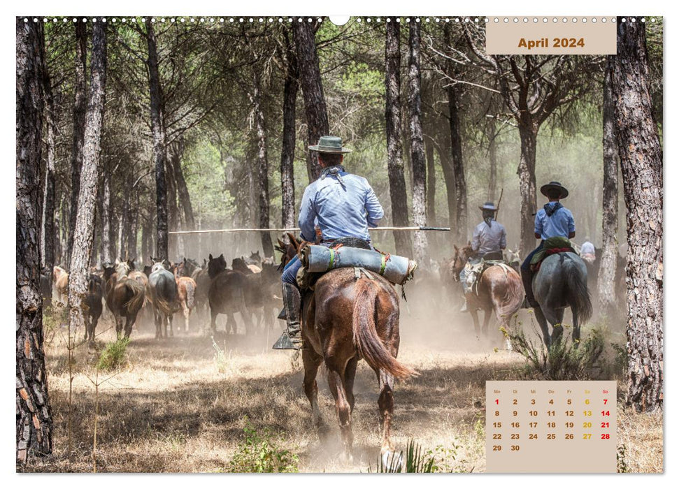 Pferde - Andalusiens wilder Westen (CALVENDO Premium Wandkalender 2024)