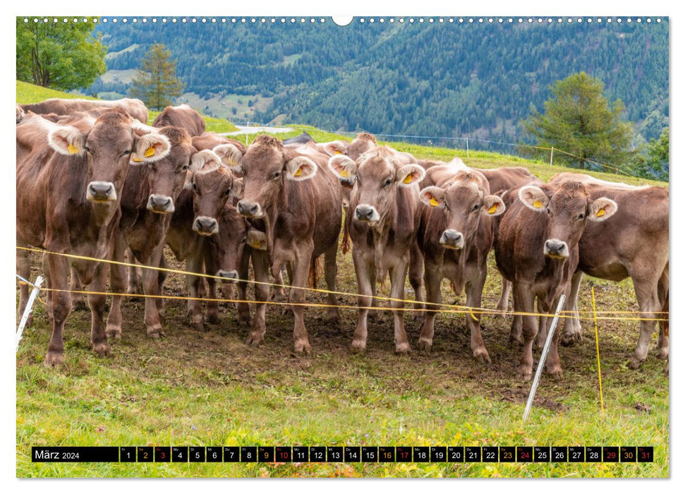 Bättu mis Derfji (CALVENDO Wandkalender 2024)