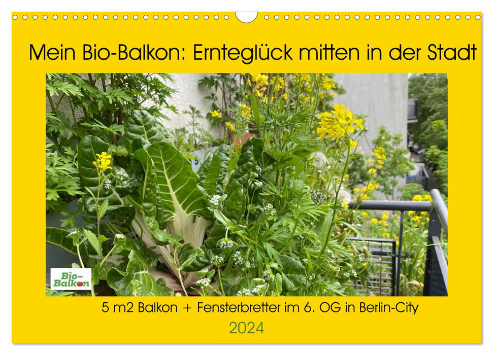 Mein Bio-Balkon: Ernteglück mitten in der Stadt (CALVENDO Wandkalender 2024)