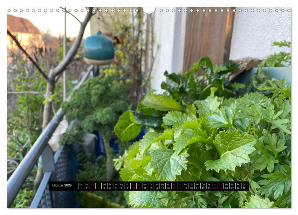 Mein Bio-Balkon: Ernteglück mitten in der Stadt (CALVENDO Wandkalender 2024)