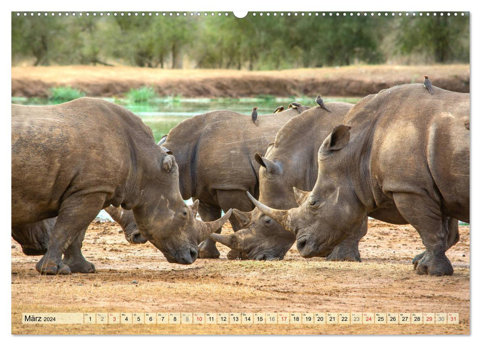 Eswatini – Königreich im südlichen Afrika (CALVENDO Premium Wandkalender 2024)