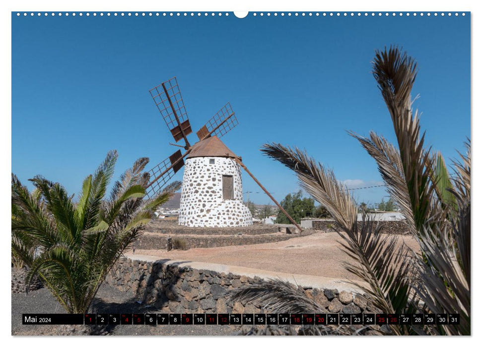 Die Windmühlen Fuerteventuras (CALVENDO Premium Wandkalender 2024)