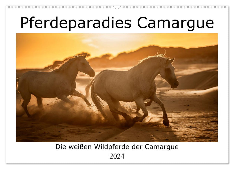 Pferdeparadies Camargue (CALVENDO Wandkalender 2024)