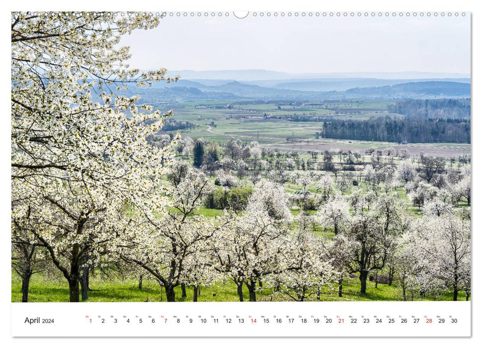 Licht und Landschaft - magisch! (CALVENDO Wandkalender 2024)