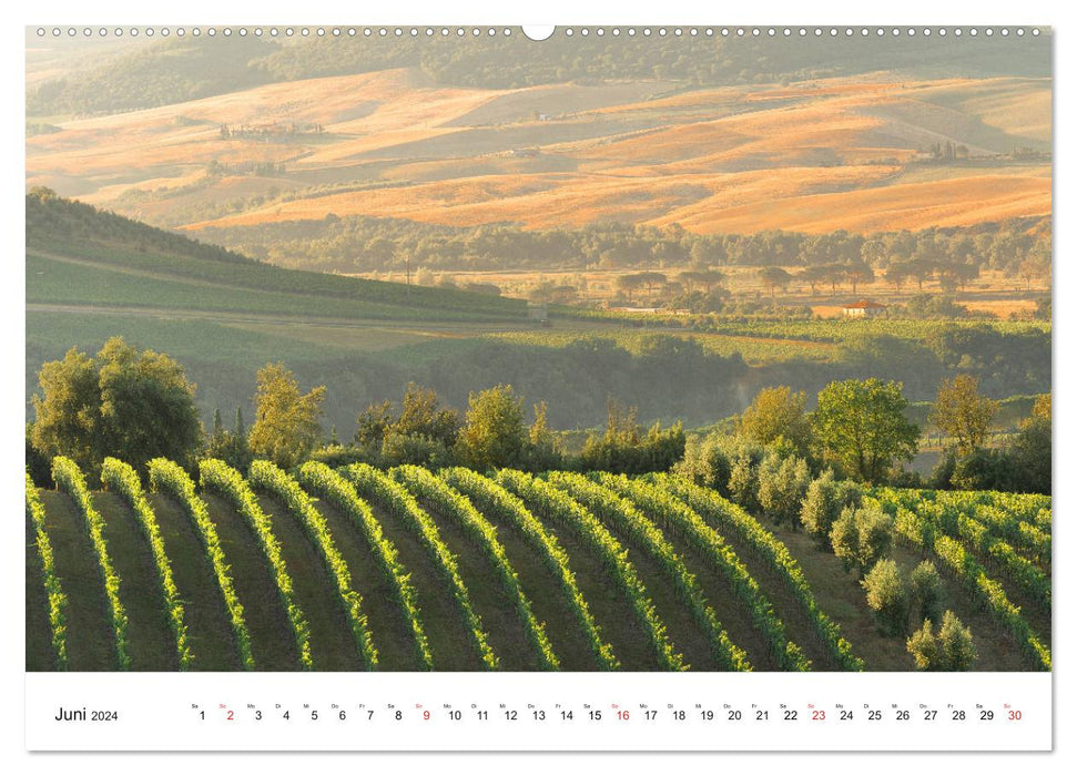 Licht und Landschaft - magisch! (CALVENDO Wandkalender 2024)