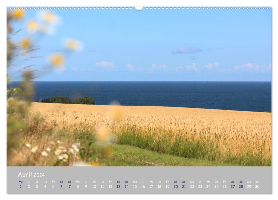 Bornholm - die Küsten der Ostseeinsel (CALVENDO Premium Wandkalender 2024)