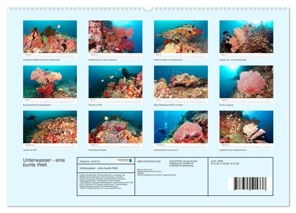 Unterwasser - eine bunte Welt (CALVENDO Premium Wandkalender 2024)