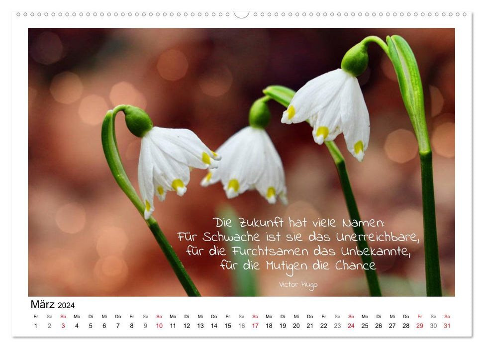 Weiße Blüten, weise Worte (CALVENDO Premium Wandkalender 2024)