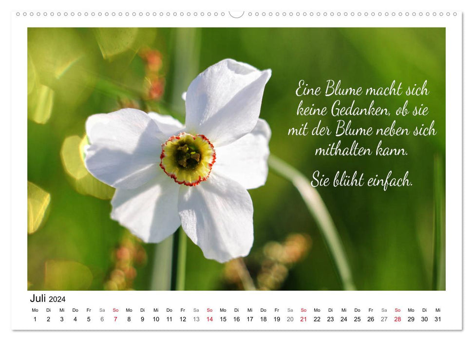 Fleurs blanches, paroles sages (Calendrier mural CALVENDO Premium 2024) 