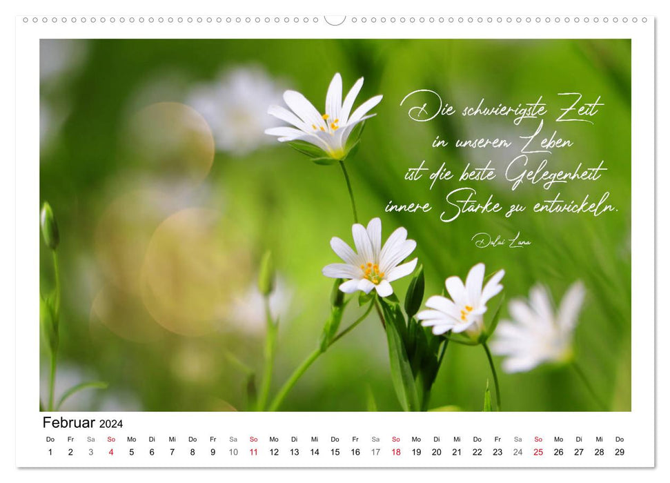 Weiße Blüten, weise Worte (CALVENDO Wandkalender 2024)