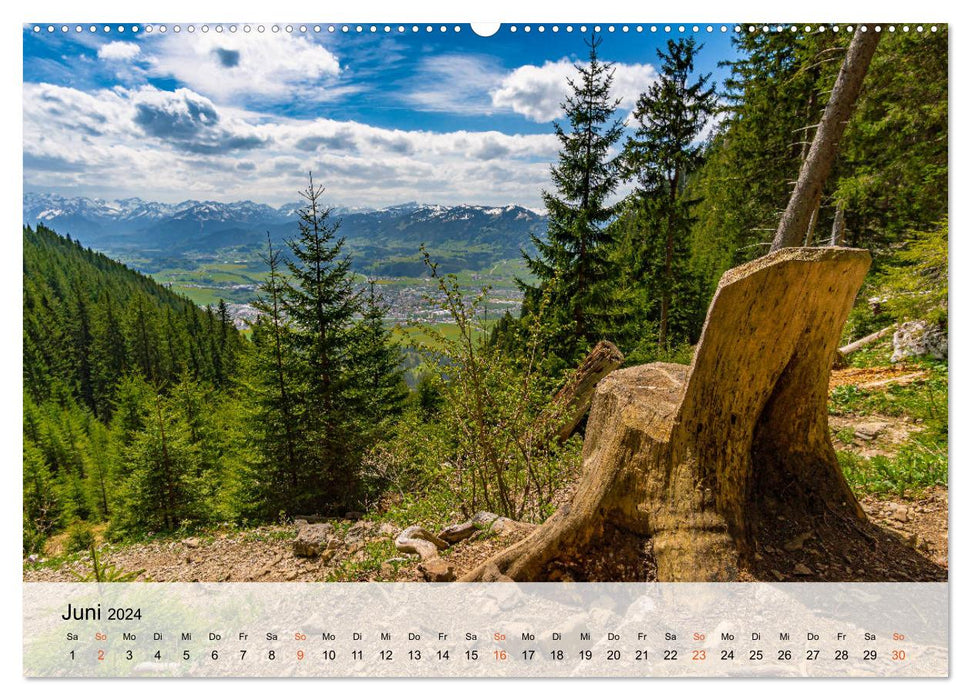 Licht im Allgäu - Traumhafte Landschaften (CALVENDO Wandkalender 2024)