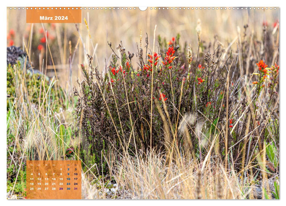 Im Nationalpark Los Nevados (CALVENDO Premium Wandkalender 2024)