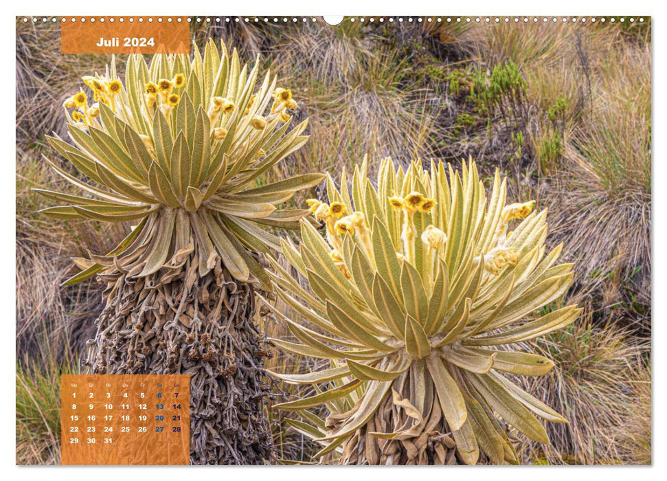 Im Nationalpark Los Nevados (CALVENDO Premium Wandkalender 2024)