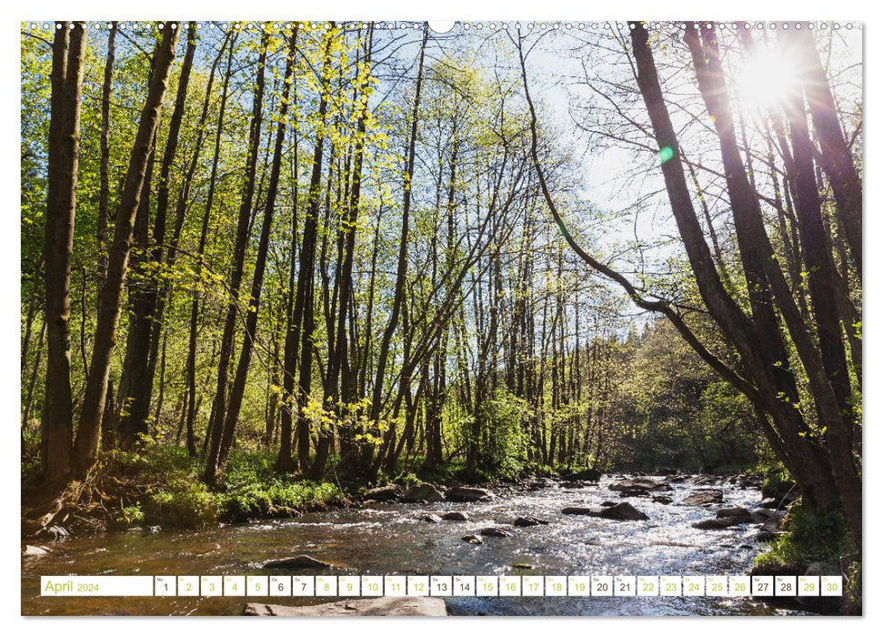 Eifelwälder - bezaubernde Tagträume (CALVENDO Wandkalender 2024)