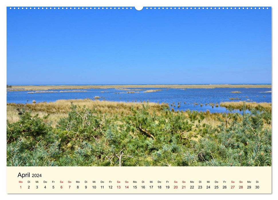 Strände auf dem Fischland-Darß (CALVENDO Premium Wandkalender 2024)