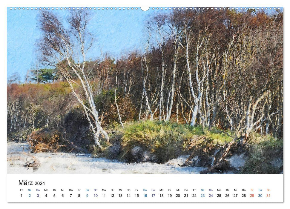 Landscapes on the Darß in oil colors (CALVENDO wall calendar 2024) 