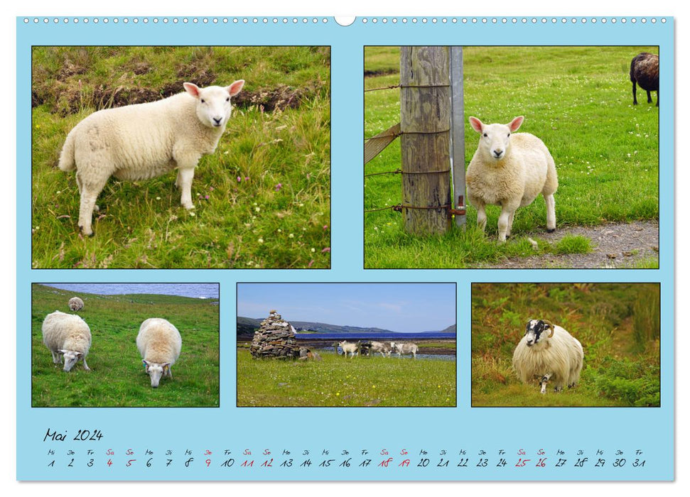 Quintettes from Scotland (CALVENDO Premium Wall Calendar 2024) 