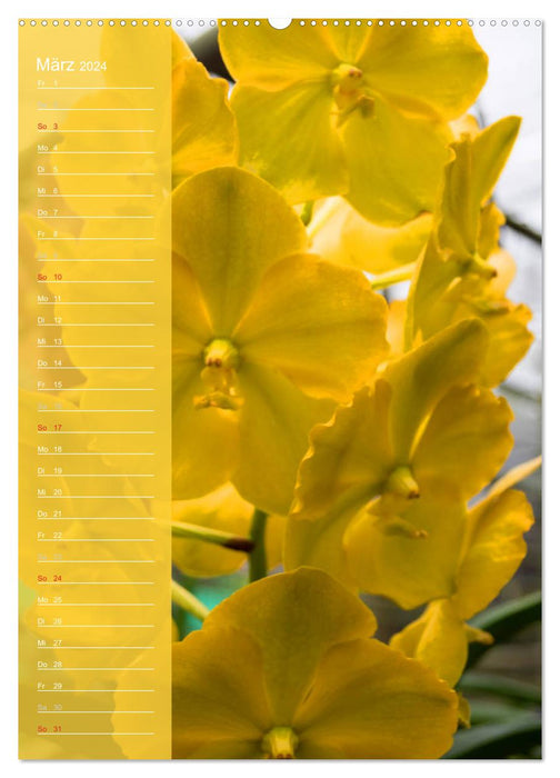 Farbzauber Natur Orchideen - Geburtstagskalender (CALVENDO Premium Wandkalender 2024)