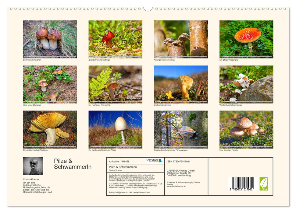 Pilze & Schwammerln (CALVENDO Premium Wandkalender 2024)