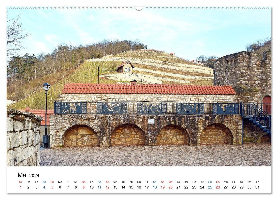 Freyburg an der Unstrut (CALVENDO Premium Wandkalender 2024)