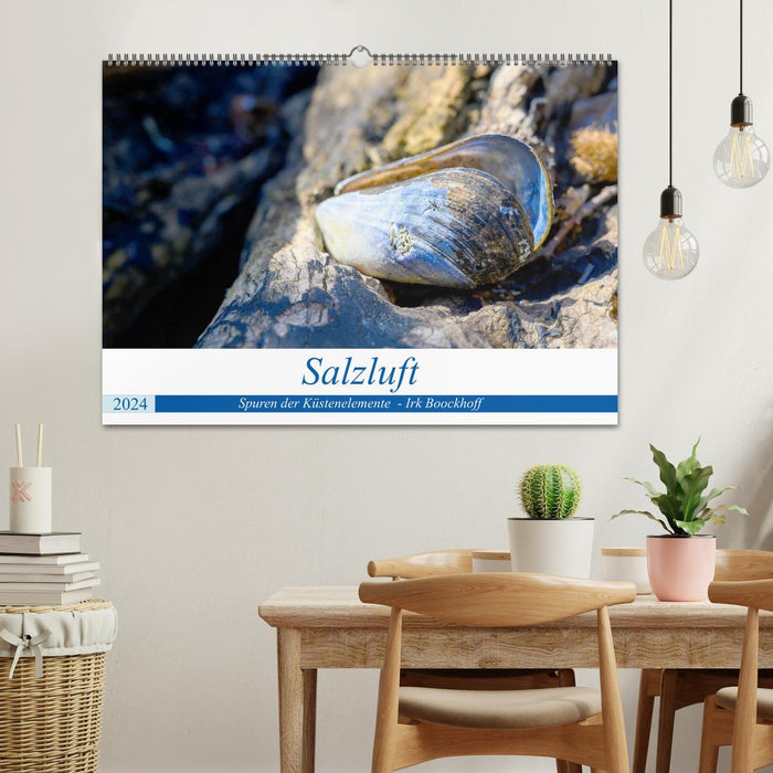 Salzluft (CALVENDO Wandkalender 2024)