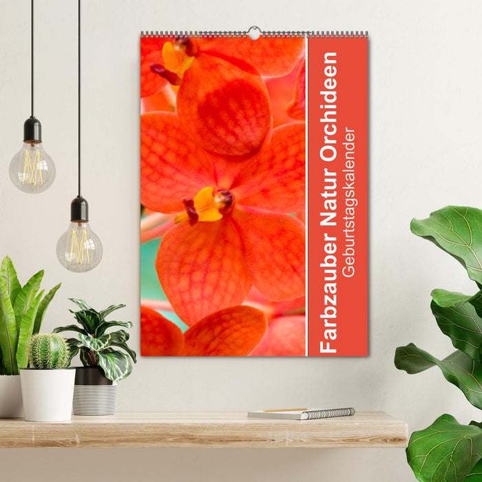 Farbzauber Natur Orchideen - Geburtstagskalender (CALVENDO Wandkalender 2024)