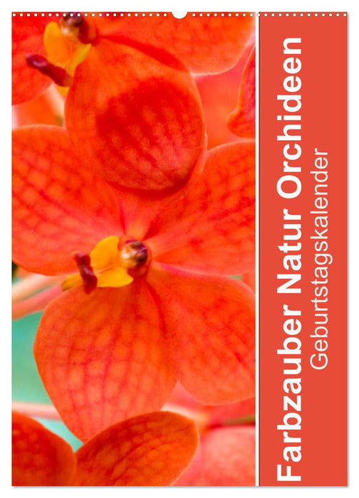 Farbzauber Natur Orchideen - Geburtstagskalender (CALVENDO Wandkalender 2024)