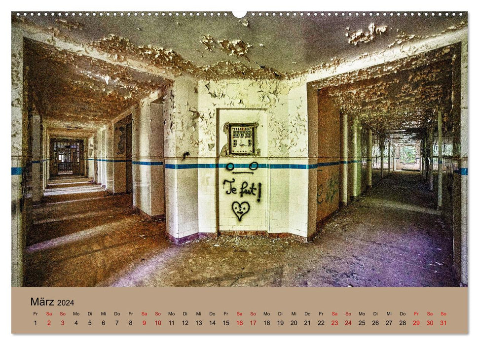 old and beautiful (CALVENDO wall calendar 2024) 