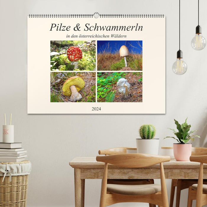Mushrooms &amp; Mushrooms (CALVENDO wall calendar 2024) 