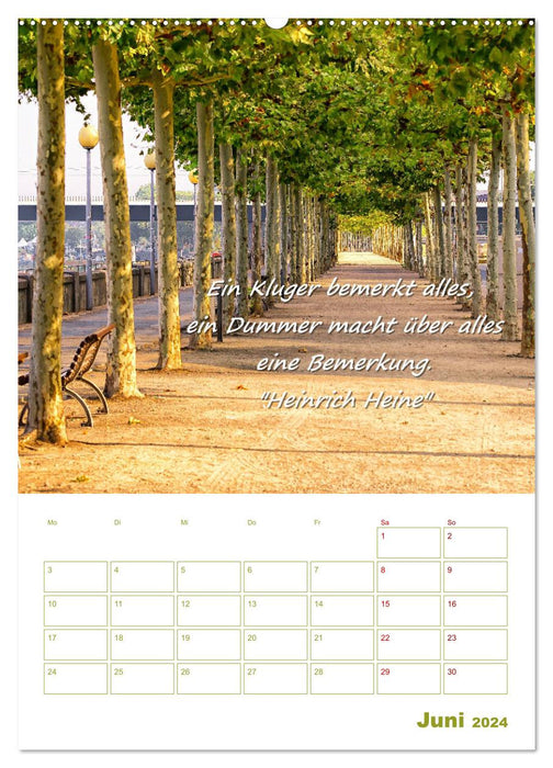 Views of Düsseldorf with quotes from Heinrich Heine - planner function (CALVENDO wall calendar 2024) 