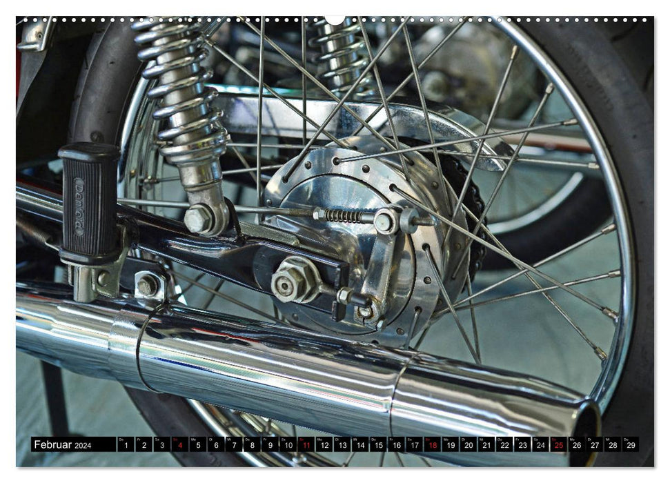 Starflite verkannte Moped Schönheiten (CALVENDO Premium Wandkalender 2024)