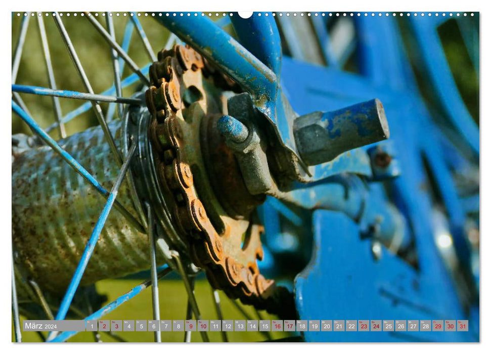 The blue wheel (CALVENDO wall calendar 2024) 