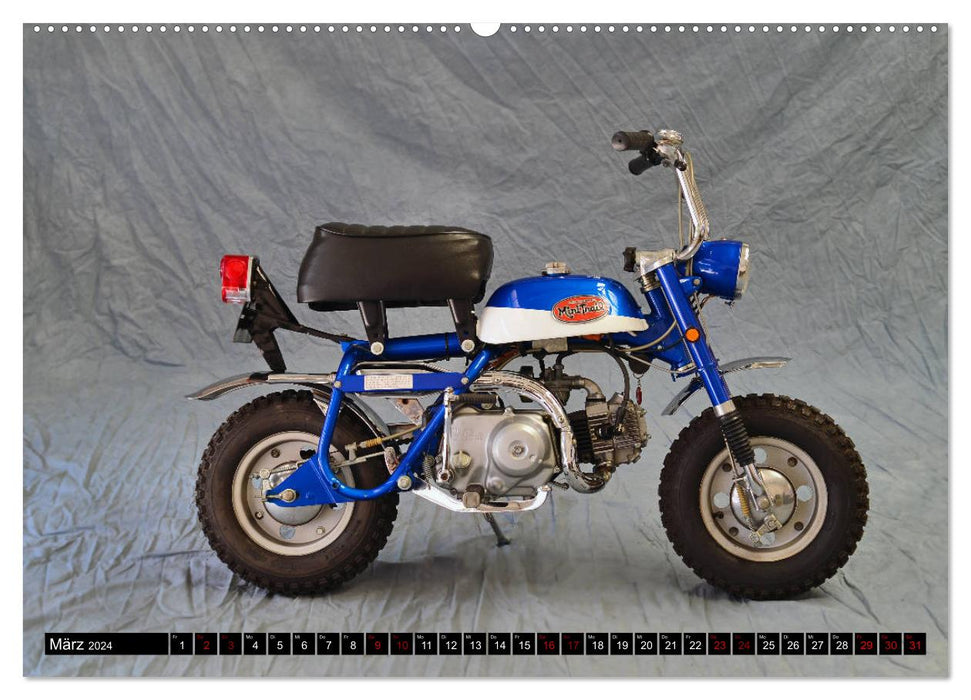 Bonsai Mopeds (CALVENDO Wandkalender 2024)