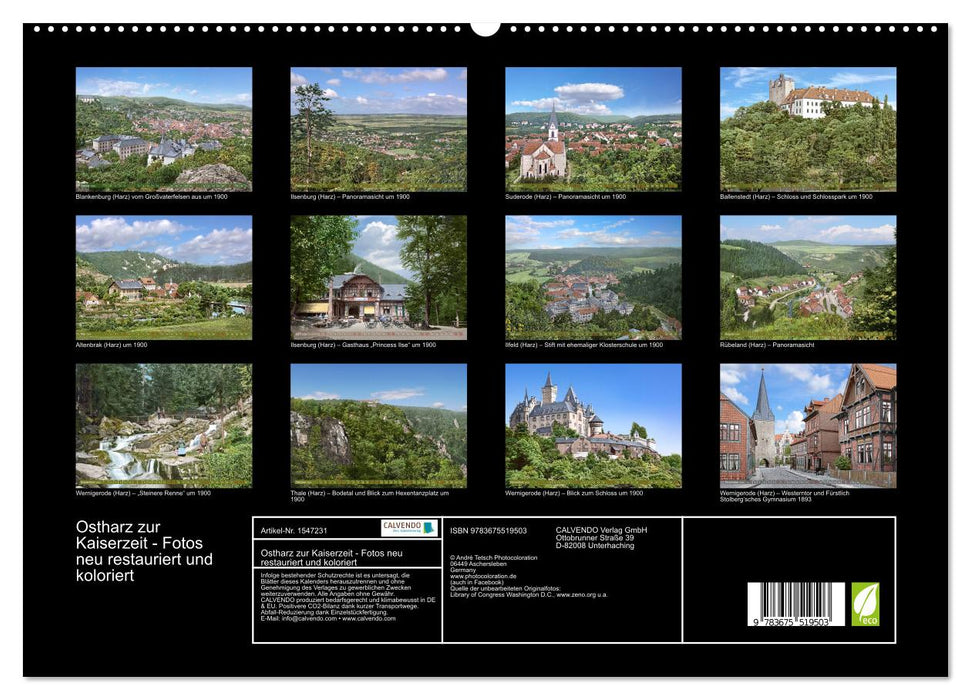 Eastern Harz during the imperial period (CALVENDO Premium Wall Calendar 2024) 