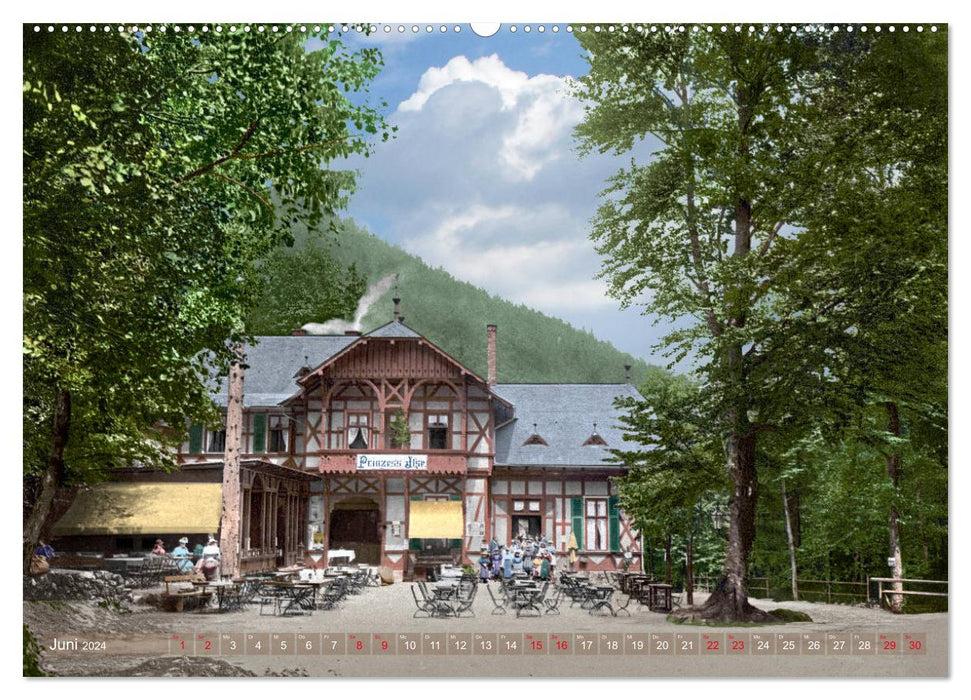 Eastern Harz during the imperial period (CALVENDO Premium Wall Calendar 2024) 