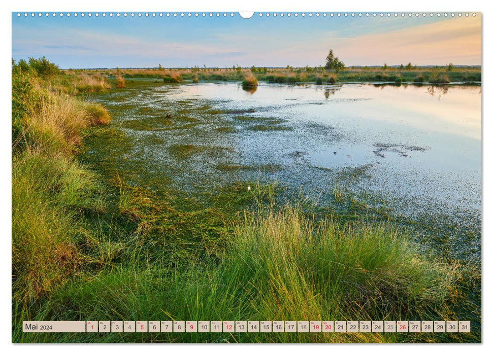 Germany's moors (CALVENDO wall calendar 2024) 