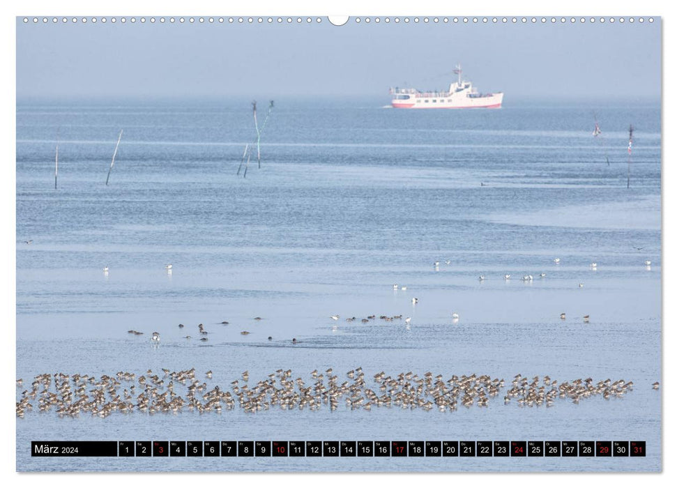 Welterbe Wattenmeer (CALVENDO Wandkalender 2024)